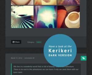 Elmastudio Kerikeri Dark WordPress Theme