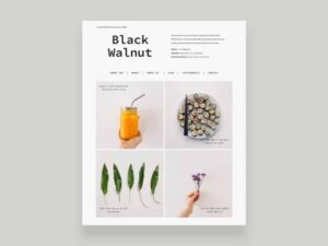 Elmastudio Black Walnut WordPress Theme 1.0.5