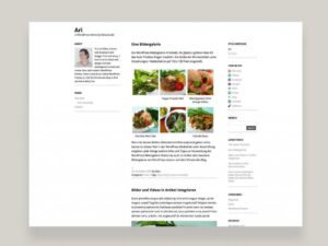 Elmastudio Ari WordPress Theme