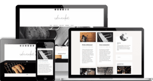 Amadeus Pro WordPress Theme 1.6.1