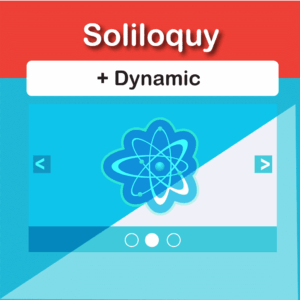 Soliloquy Dynamic Addon 2.3.3