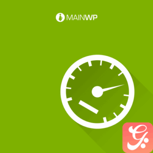 MainWP Page Speed Extension 4.0.2
