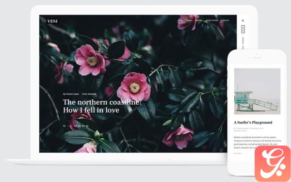 Themes Kingdom Veni WordPress Theme 2.1.3