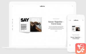 Themes Kingdom Collecto WordPress Theme 1.1.3