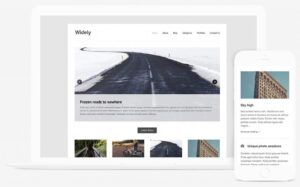 Themes Kingdom Widely WordPress Theme 2.3.1