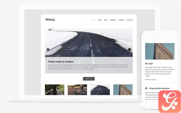 Themes Kingdom Widely WordPress Theme 2.3.1