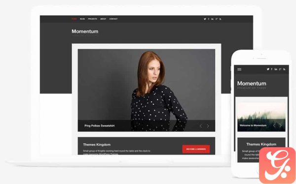 Themes Kingdom Momentum WordPress Theme 2.3.1