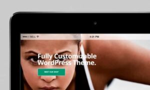 VisualModo Gym WordPress Theme 11.0.3