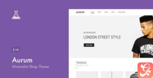 Aurum - Minimalist Shopping Theme 3.34