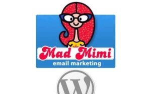 Easy Digital Downloads Mad Mimi Addon 1.0.2