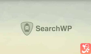 SearchWP WordPress Plugin 4.3.13