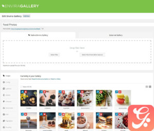 Envira Gallery WordPress Plugin 1.9.10