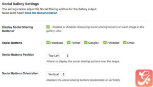 Envira Gallery Social Addon 1.6.10