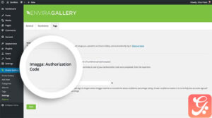 Envira Gallery Tags Addon 1.8.5