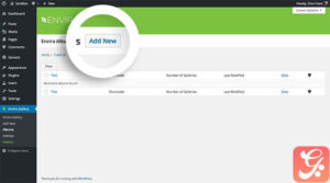 Envira Gallery Dynamic Addon 1.6.7