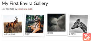 Envira Gallery Themes Addon 2.0.6