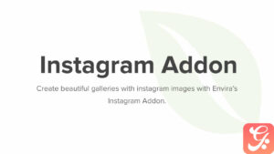 Envira Gallery Instagram Addon 1.6.3