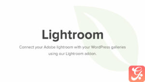 Envira Gallery Lightroom Addon 2.3.5