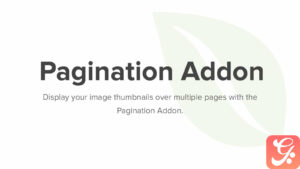 Envira Gallery Pagination Addon 1.8.7
