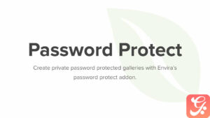 Envira Gallery Password Protection Addon 1.4.9