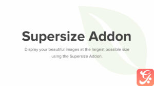 Envira Gallery Schedule Addon 1.2.5