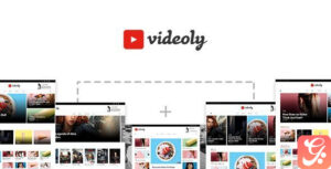 Videoly - Video WordPress Theme 1.3