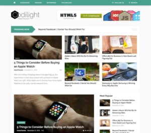 FameThemes Codilight WordPress Theme 2.0.4