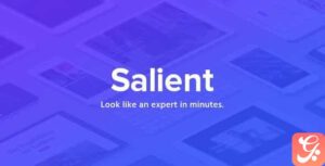 Salient - Responsive Multi-Purpose Theme 17.0.1