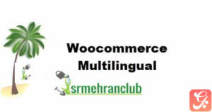 Woocommerce Multilingual 5.3.3.1