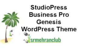 StudioPress Business Pro Genesis WordPress Theme 1.1.0