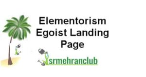 Elementorism Egoist Landing Page 1.0.0