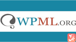 WPML Multilingual CMS WordPress Plugin 4.6.13