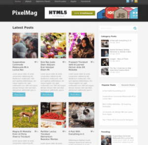 MyThemeShop Pixelmag WordPress Theme 1.0.9
