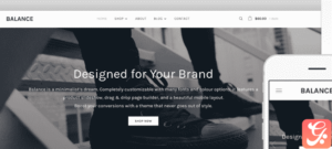 WPZoom Balance WordPress Theme 2.0.0