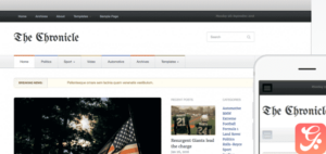 WPZoom Chronicle WordPress Theme
