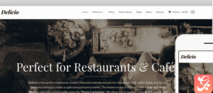 WPZoom Delirium WordPress Theme 1.0.4