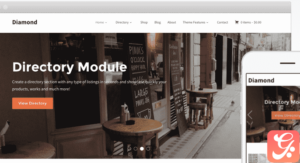 WPZoom Diamond WordPress Theme 1.1.13