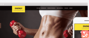 WPZoom Energy WordPress Theme 1.0.13