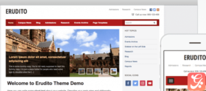 WPZoom Erudito WordPress Theme 1.1.11