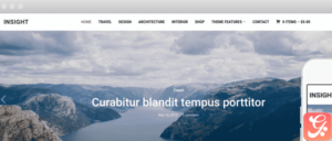 WPZoom Insight WordPress Theme 1.3.15