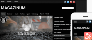 WPZoom Magazinum WordPress Theme 4.0.6