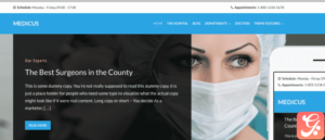 WPZoom Medicus WordPress Theme 1.0.2