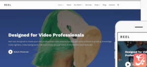 WPZoom Reel WordPress Theme 3.0.8