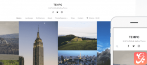 WPZoom Tempo WordPress Theme