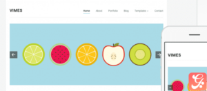 WPZoom Vimes WordPress Theme