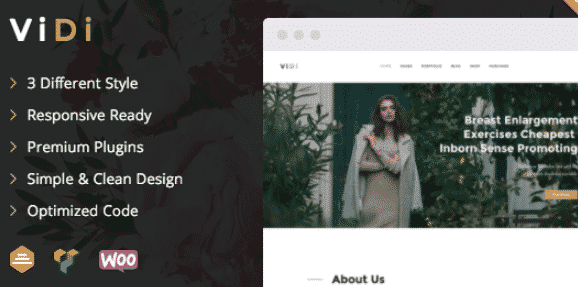 ViDi - 3 in 1 Creative WordPress   Theme 1.1.1