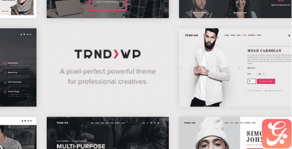 Trendy - Creative Multi-Purpose WordPress Theme