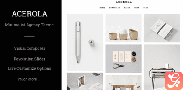 Acerola Ultra Minimalist Agency WordPress Theme