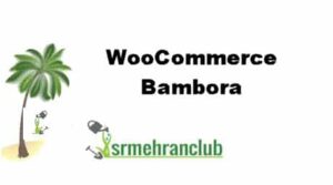 WooCommerce Bambora 2.8.1