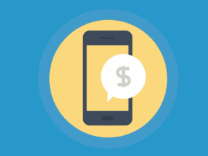 Paid Memberships Pro - Donations 2.2